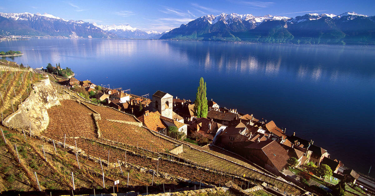 Lavaux Vineyards Tour